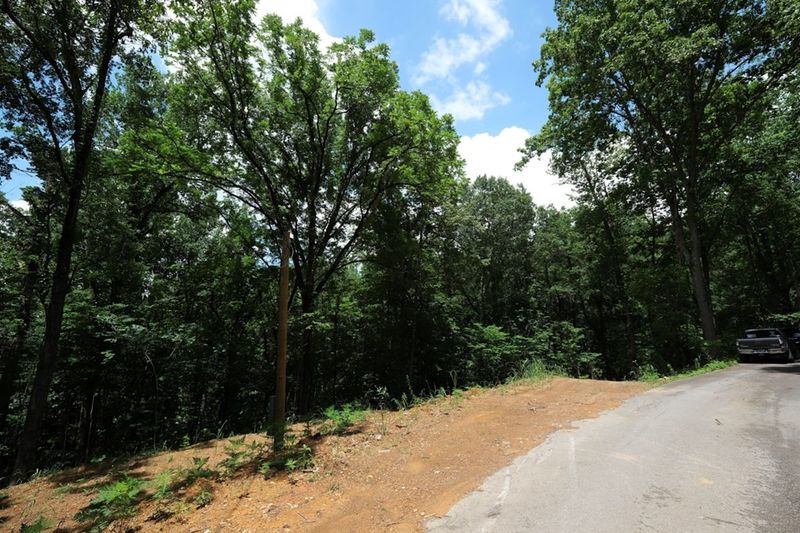 0 Blowing Cave Rd Lot 9-11A, Sevierville, TN 37876
