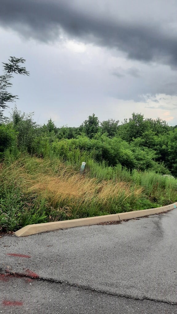 0 Rainbow Rg, Sevierville, TN 37862