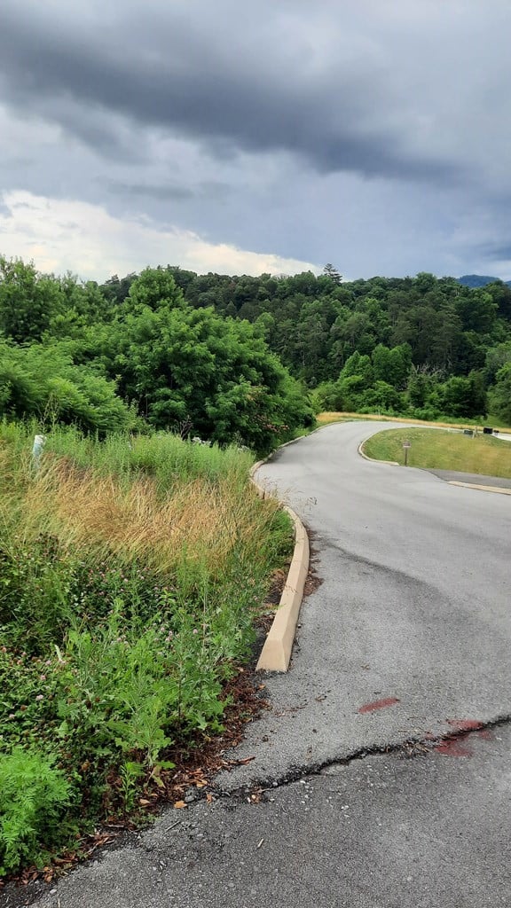 0 Rainbow Rg, Sevierville, TN 37862