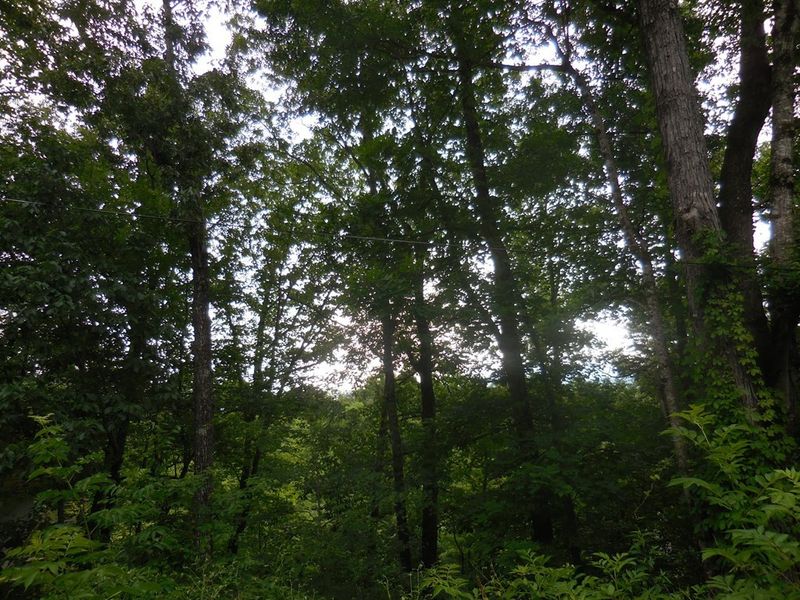 36 Still Rest Lot 36, Sevierville, TN 37876