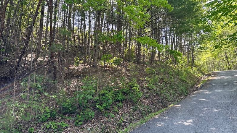 0 Ridgeland Cir Lot 0024, Sevierville, TN 37862