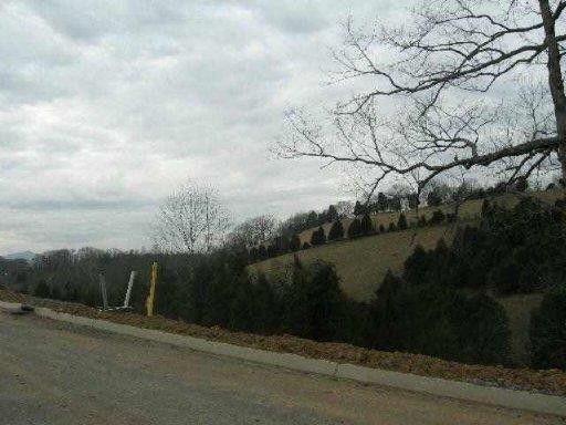 20 Ally Ln Lot 20, Sevierville, TN 37862