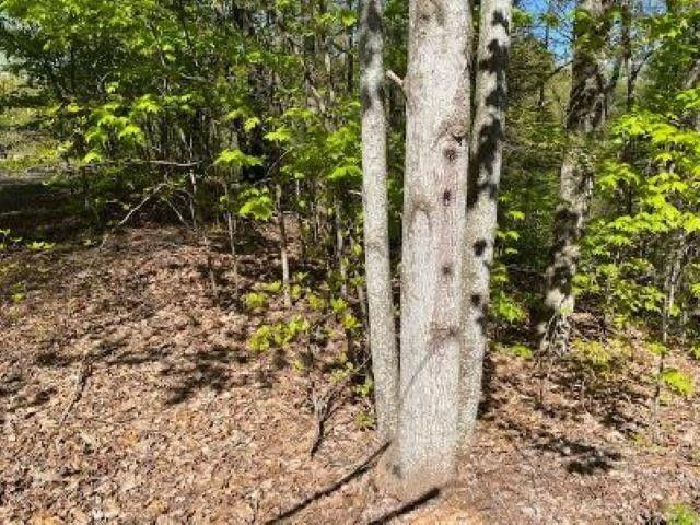 72 Poplar Pl Lot 72, Sevierville, TN 37876