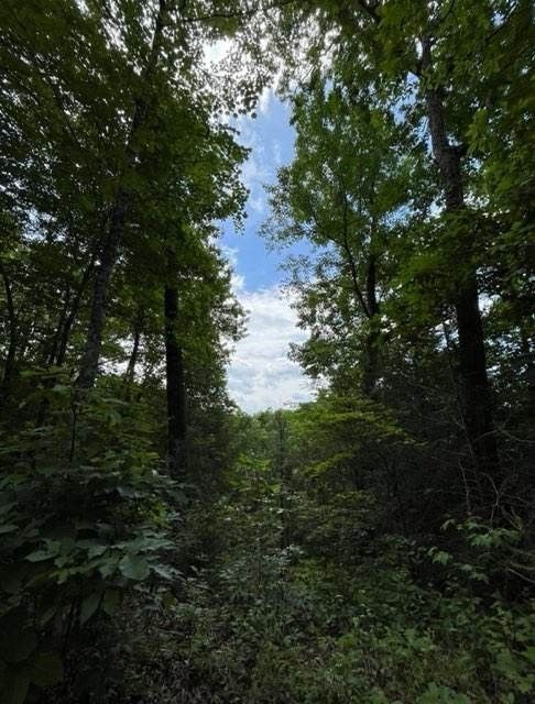 10 Joshua Way Lot 10, Sevierville, TN 37876