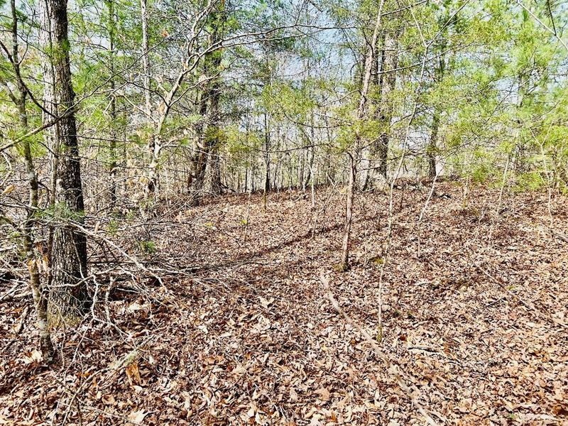 56 Bear Mountain Ln Lot 0056, Sevierville, TN 37876
