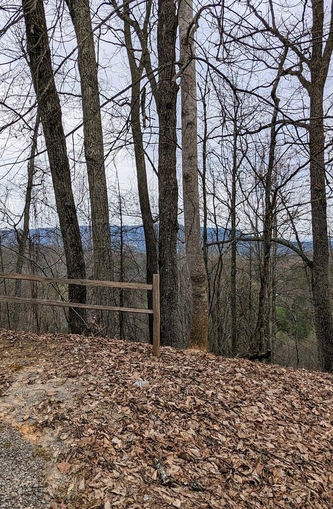 0 Shagbark Hickory Rg Lot 10, Sevierville, TN 37862