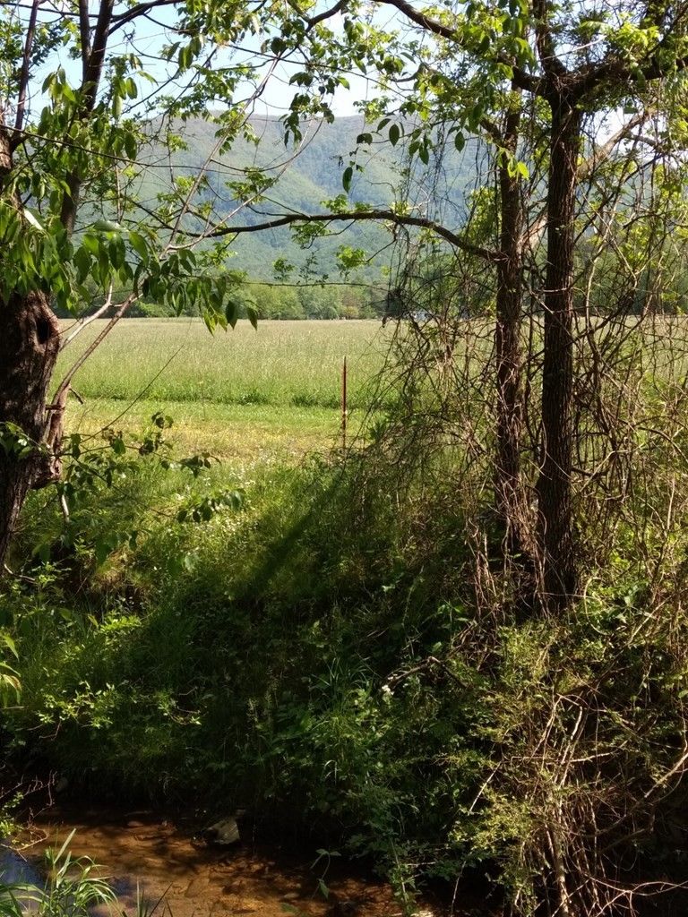 9 Meadowbrook Ln Lot 9, Sevierville, TN 37862