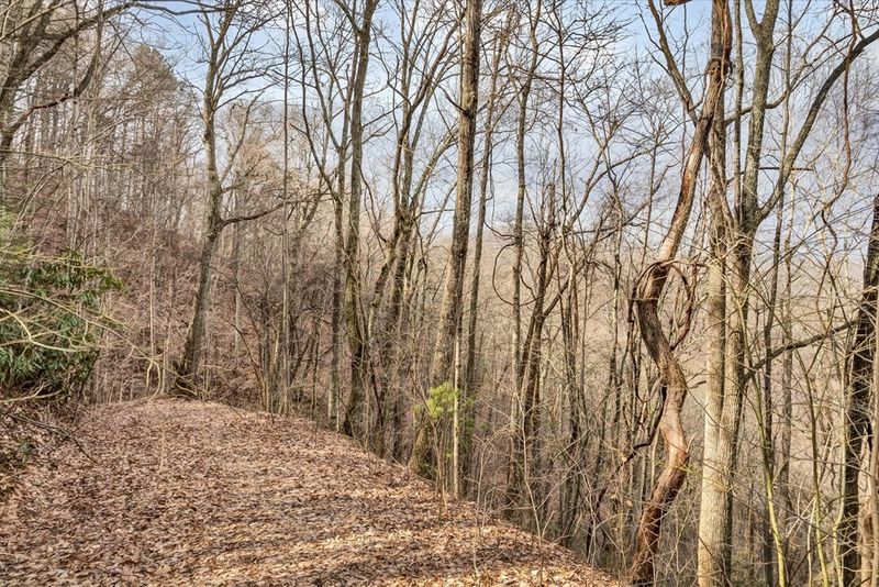 9 Shagbark Hickory Rg Lot 9B, Sevierville, TN 37862