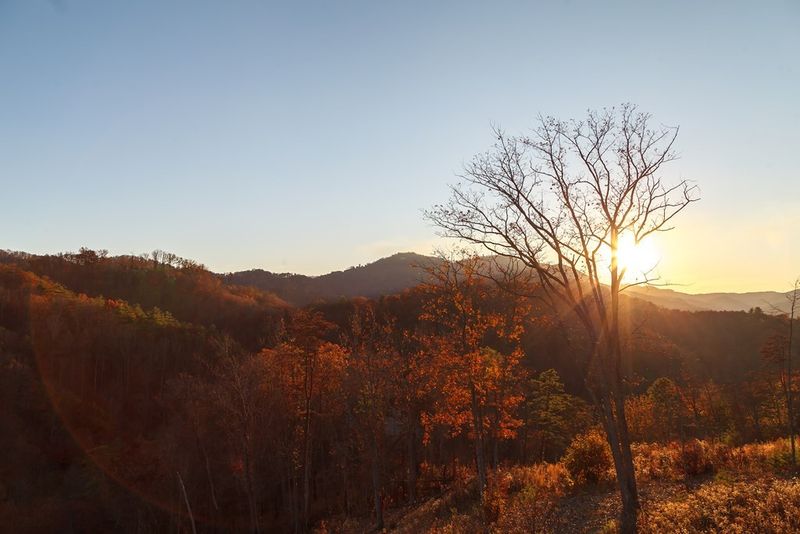 2264 Coopers Hawk Way, Sevierville, TN 37862