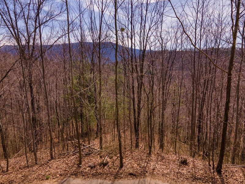 43 Spurling Lot 43, Sevierville, TN 37862