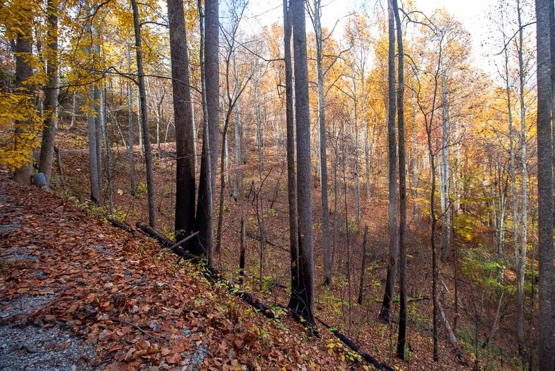 14 Grey Fox Rn Lot 14, Sevierville, TN 37862