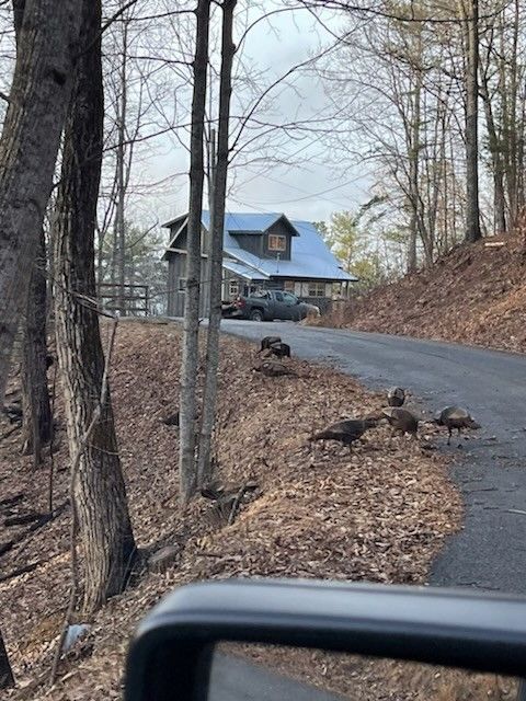3205 Emerald Springs Loop, Sevierville, TN 37862