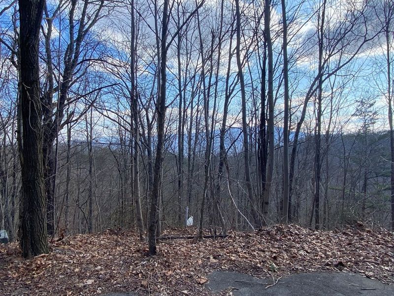 0 Spurling Rd Lot 41, Sevierville, TN 37862