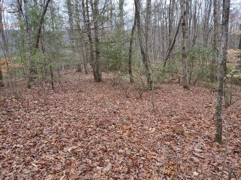 4 Valley Home Rd Lot 80903&2, Sevierville, TN 37862