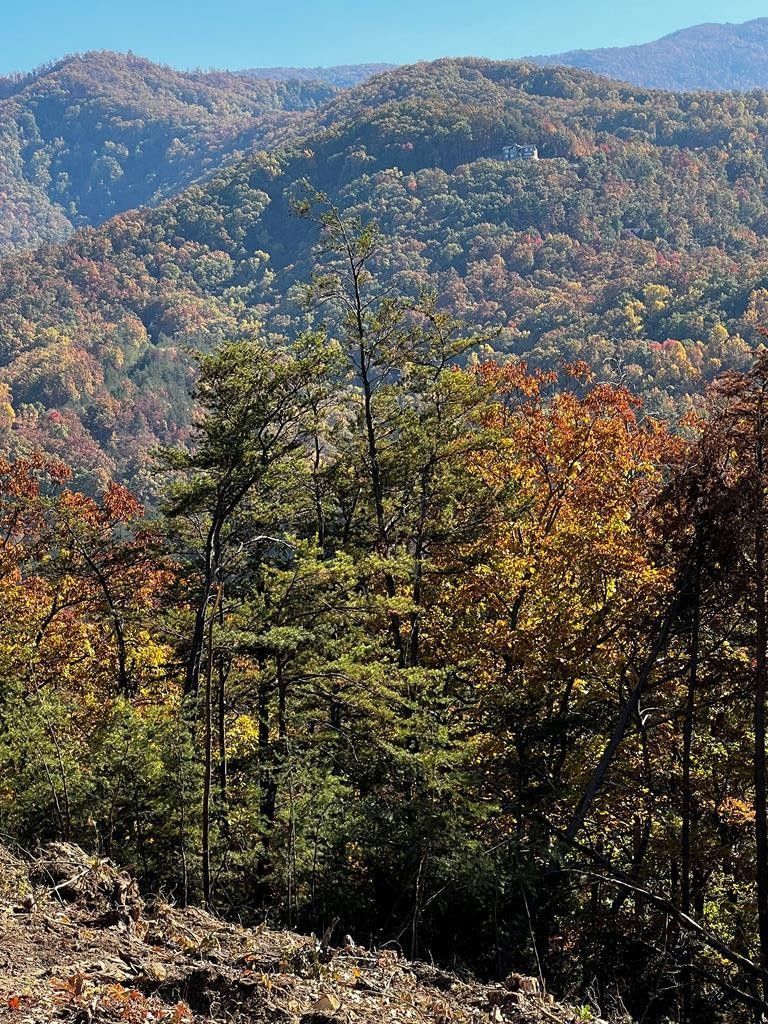 2655 Cloud View Dr, Sevierville, TN 37862