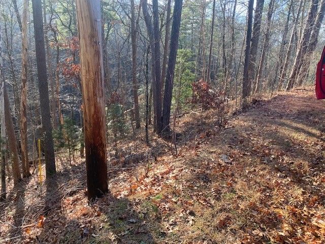 1028 Azalea Cir Lot 1028, Sevierville, TN 37876