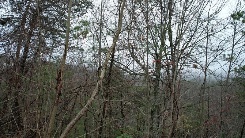 31 Grouse Ridge Ln Lot 31, Sevierville, TN 37862