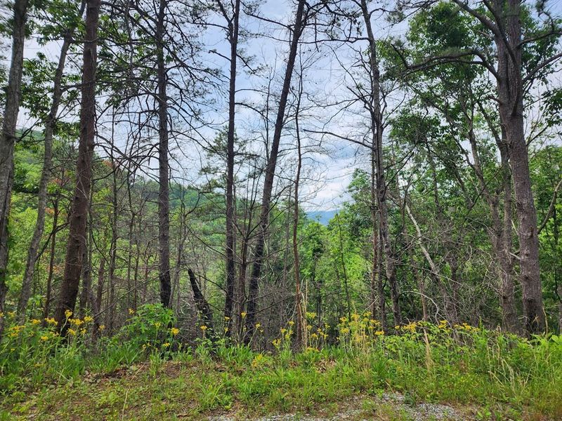 20 Sugar Maple Loop Rd Lot 20, Sevierville, TN 37862