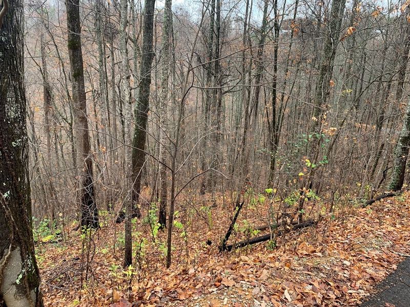 13 Emerald Springs Loop Lot 13, Sevierville, TN 37862