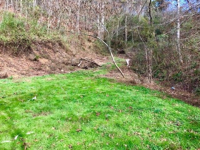 1 Richardson Cove Rd Lot 1A, Sevierville, TN 37876