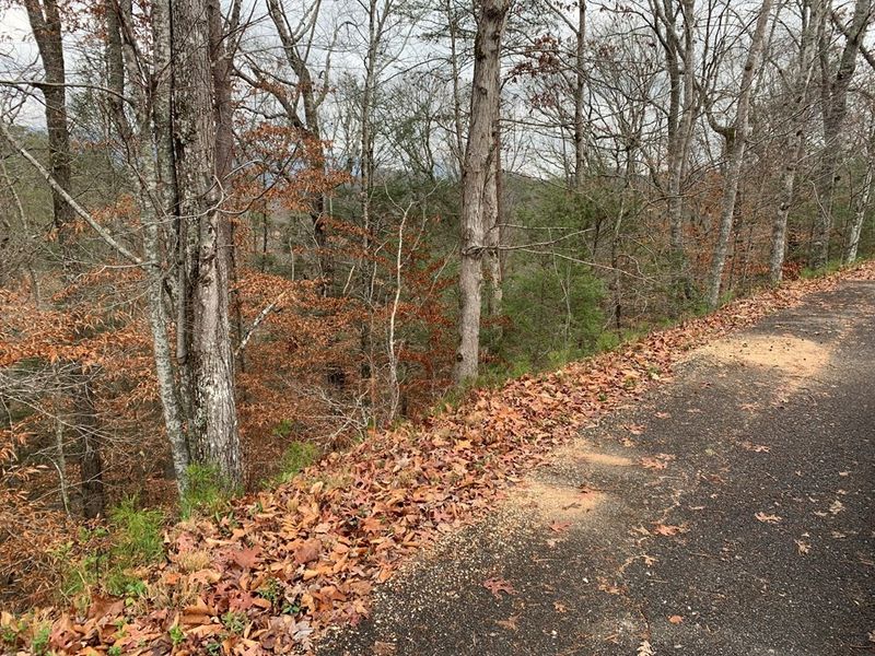 50 Red Cedar Ln Lot 0050, Sevierville, TN 37876