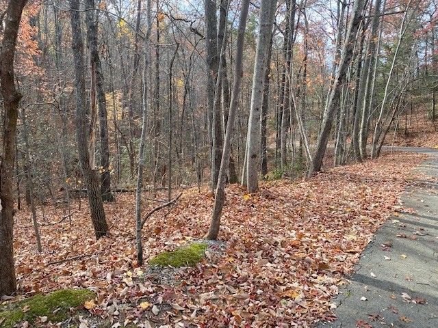 1186 Bobs Ps Lot 1186, Sevierville, TN 37876