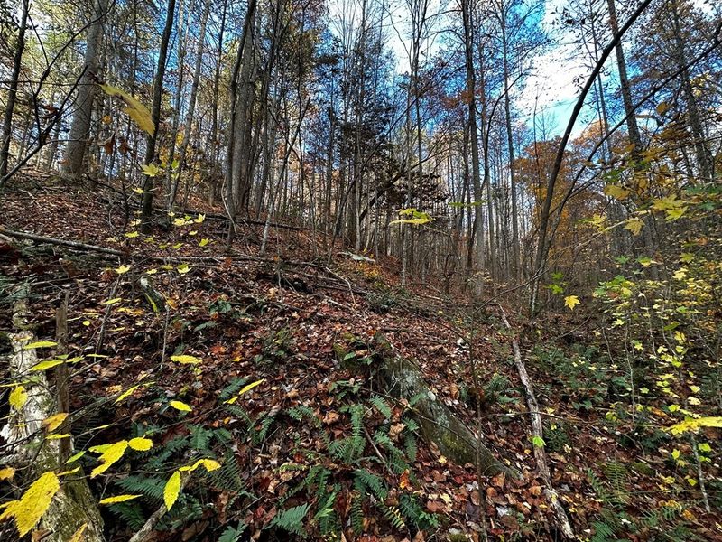 0 Faiths Way Lot 1, Sevierville, TN 37876