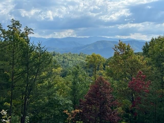 2235 Bluff Mountain Rd, Sevierville, TN 37862