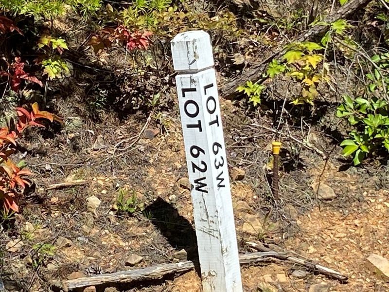 0 Longhunter Ln 63 W Lot 62W&63W, Sevierville, TN 37862