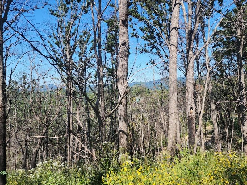 0 Headrick Lead Rd Lot 04, Sevierville, TN 37876