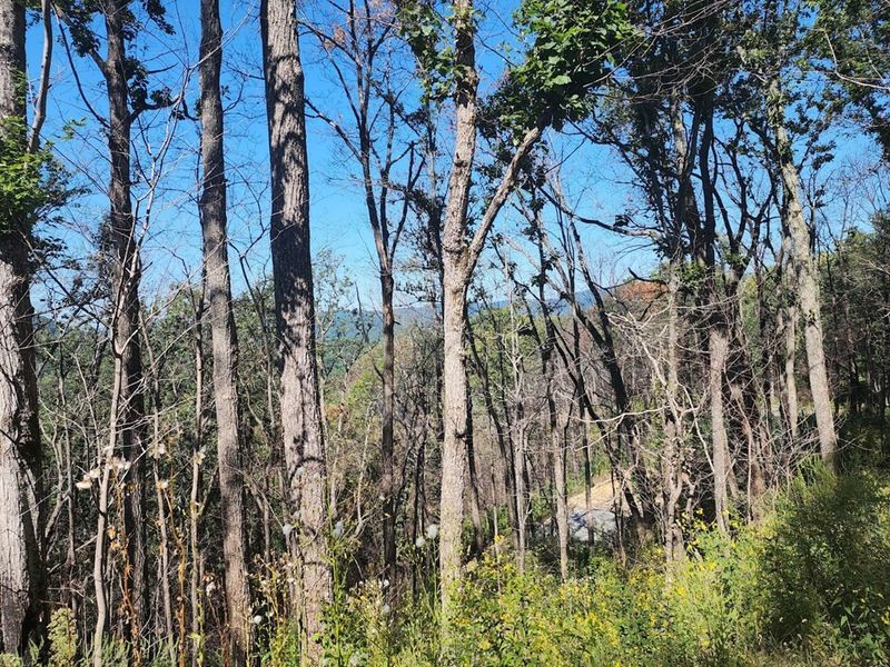 0 Headrick Lead Rd Lot 06, Sevierville, TN 37876