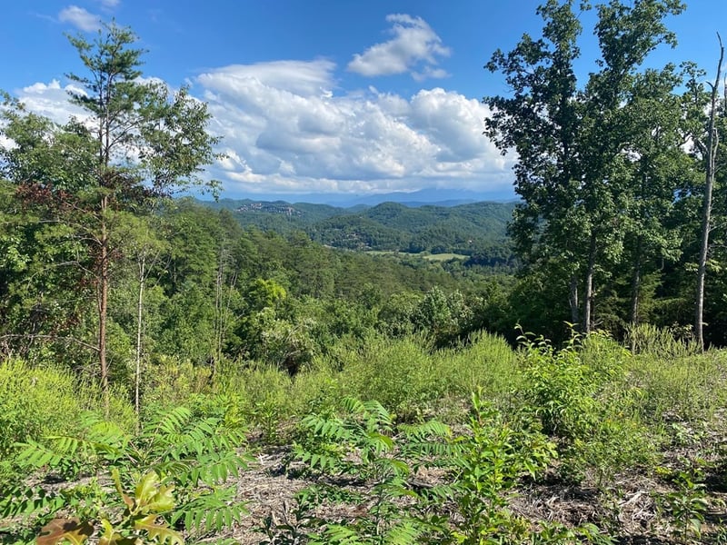 61 Crown Point Ln Lot 61, Sevierville, TN 37863
