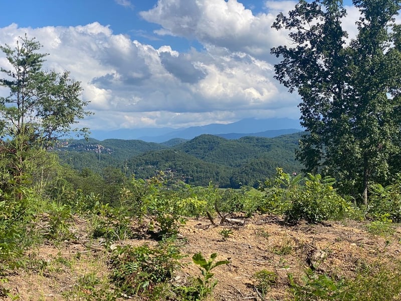 61 Crown Point Ln Lot 61, Sevierville, TN 37863