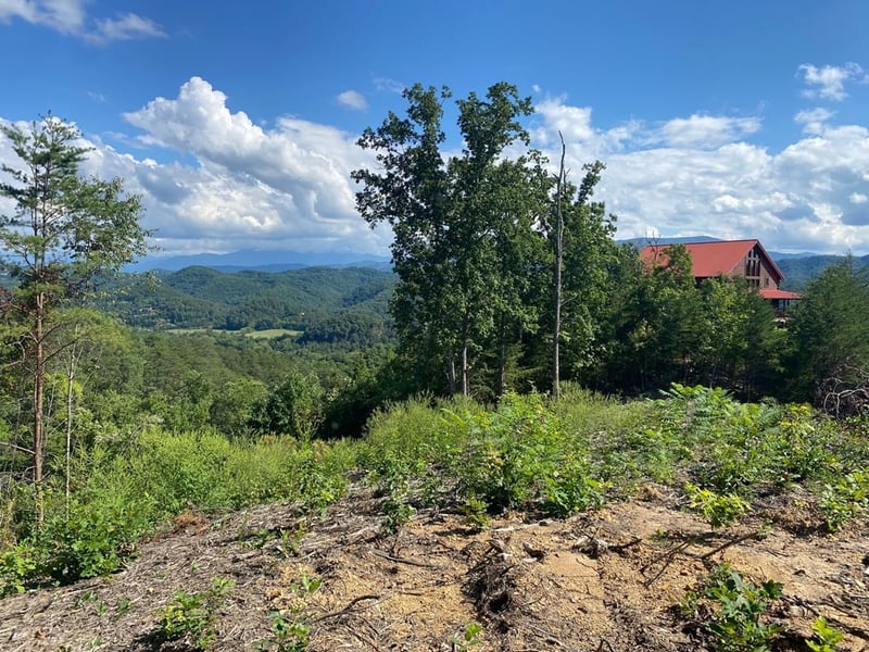 61 Crown Point Ln Lot 61, Sevierville, TN 37863