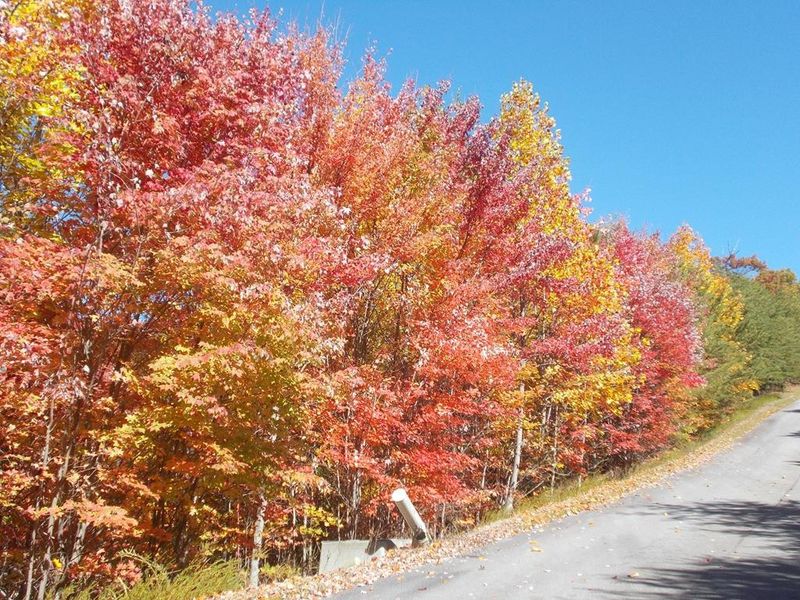 0 Stackstone Rd Lot 4-E, Sevierville, TN 37876