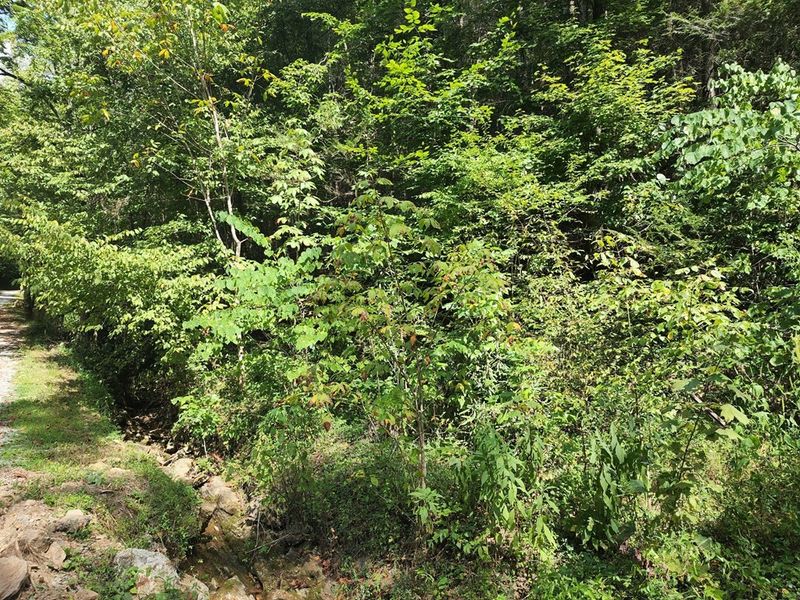 0 Jones Cove Rd Lot 1, Sevierville, TN 37876