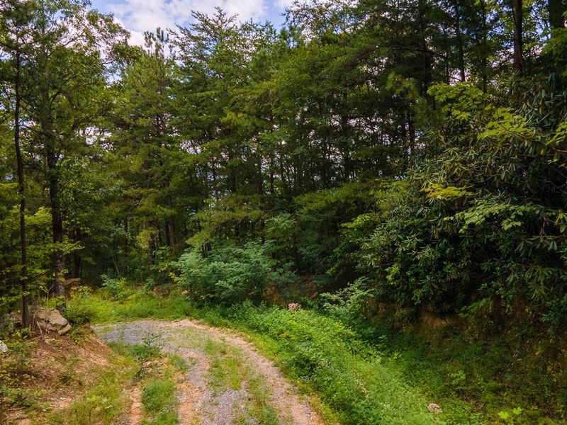 5 Overholt Trl Lot 5, Sevierville, TN 37862