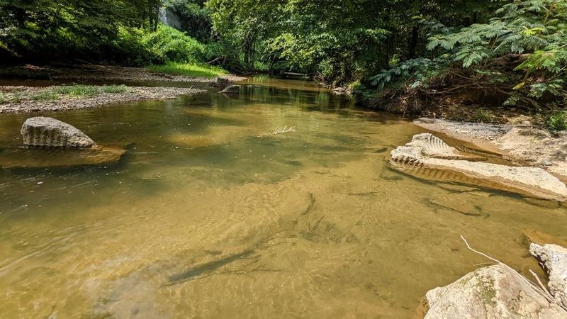 18301 Creek Hollow Way, Sevierville, TN 37876