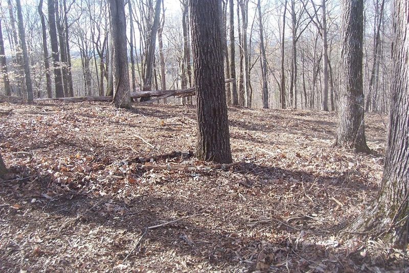 79 Muscadine Ct Lot 79, Sevierville, TN 37876