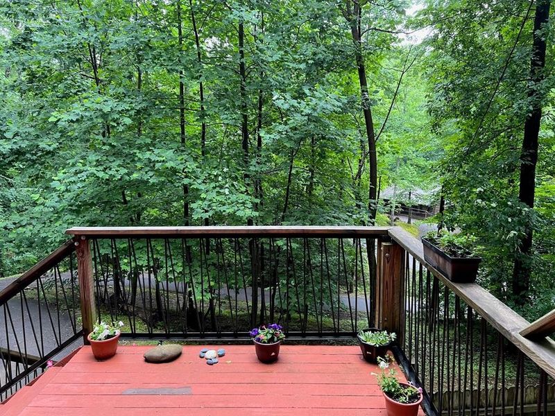 3719 Ginseng Way, Sevierville, TN 37862