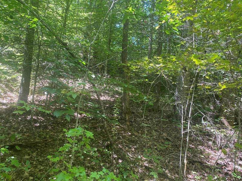 3 Tall Oak Way Lot 2, Sevierville, TN 37876
