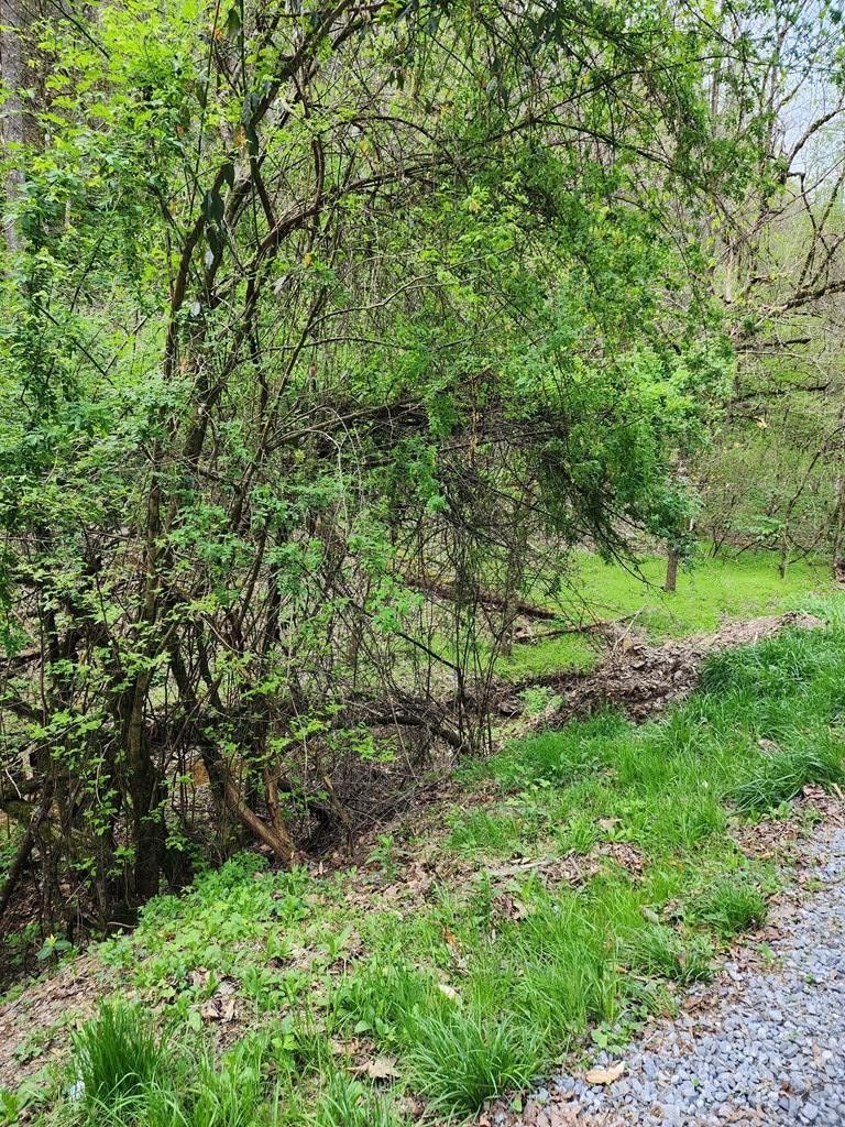 8 Hidden Hollow Way Lot 8, Sevierville, TN 37876