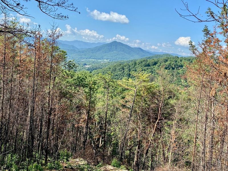 0 Indigo Ln, Sevierville, TN 37876