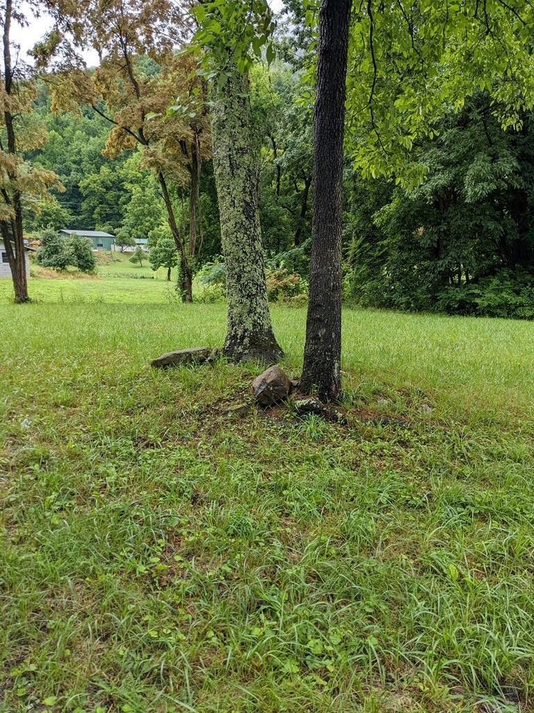 763 Blowing Cave Rd Lot 0000, Sevierville, TN 37876