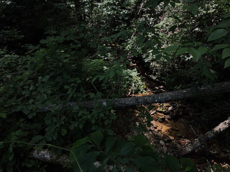 0 Black Walnut Flats Rd Lot 7, Sevierville, TN 37862