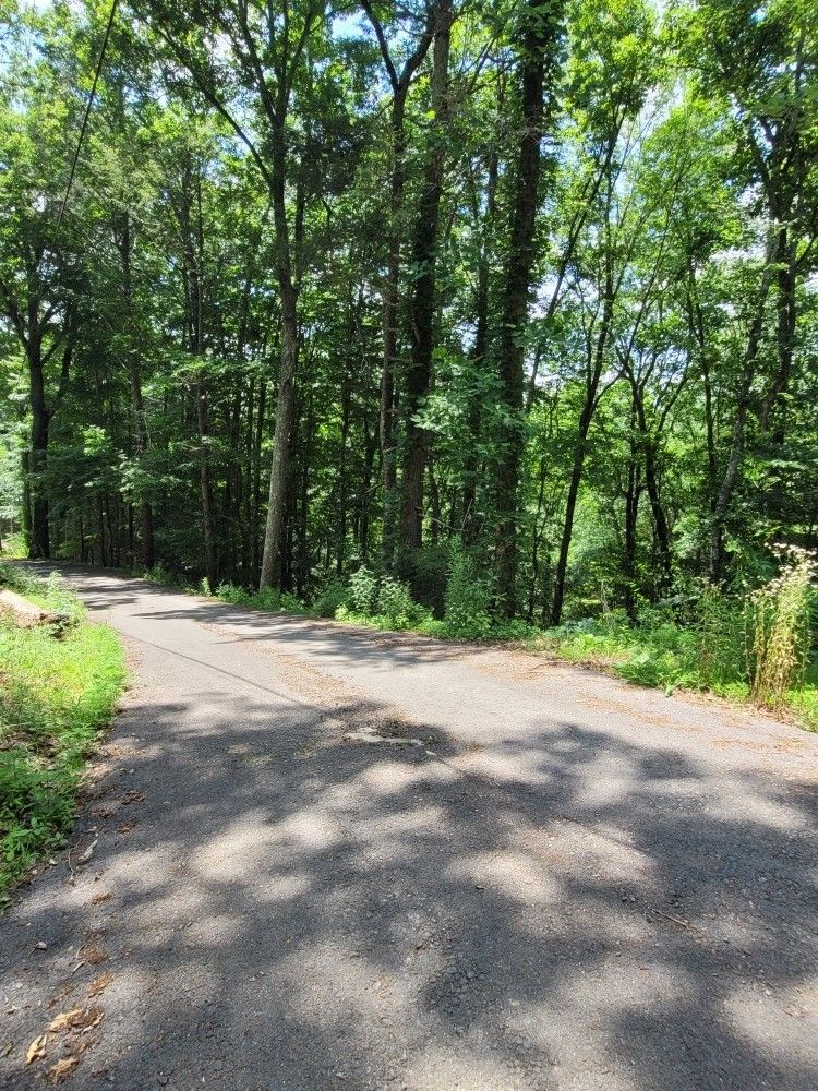 22 High Top Loop Lot 22, Sevierville, TN 37862