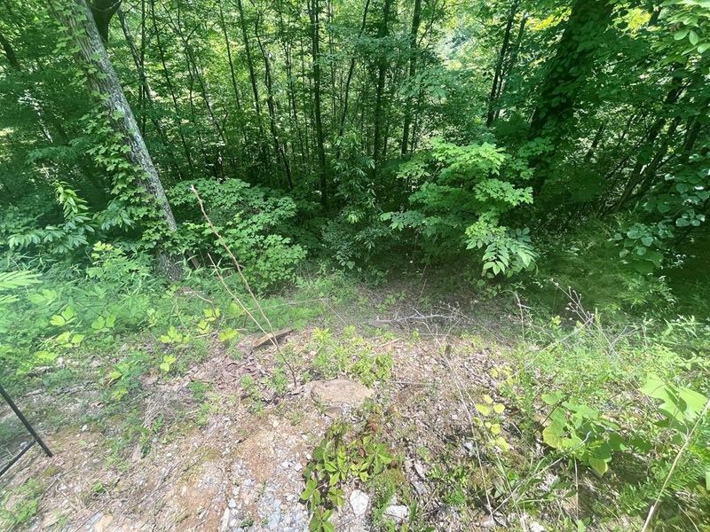 14 Pine Crest Ln Lot 14, Sevierville, TN 37862