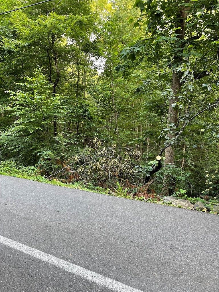 1111 Rose Ps Lot 1111, Sevierville, TN 37876