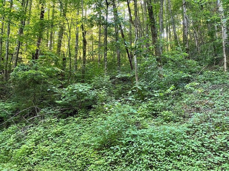 12 Sunset Rd Lot 12, Sevierville, TN 37862