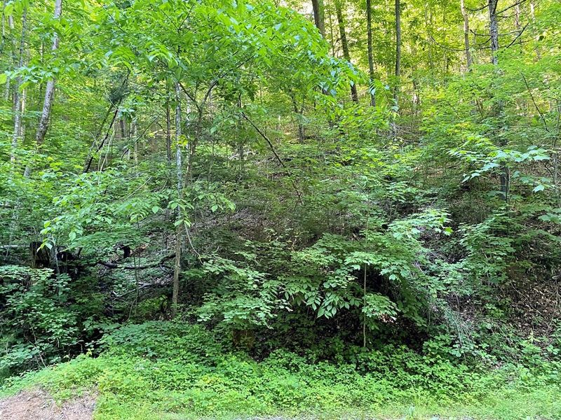 12 Sunset Rd Lot 12, Sevierville, TN 37862